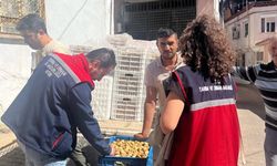 İncirin kalitesi güvence altına alınıyor