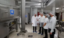 AK Partili Savaş’tan Aydın’daki et entegre tesisine ziyaret