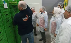 Tarım ve Orman Müdürlüğü incirde denetimi sıkılaştırdı