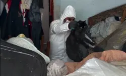Aydın'daki çöp ev yeniden boşaltıldı