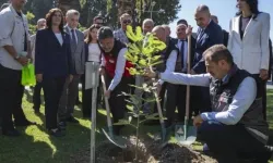 Aydın’daki “saksılı fidan” görüntüsünün faturası kesildi