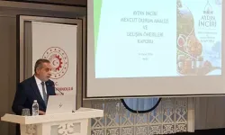 Tescilli incirin geleceği için kollar sıvandı