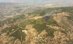 Çine’deki orman yangını kontrol altına alındı