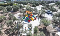 Didim’de Zeytin Park Projesi’nde sona gelindi