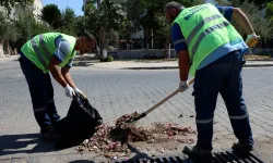 Didim'de yağışlar öncesi mazgal temizliği başladı