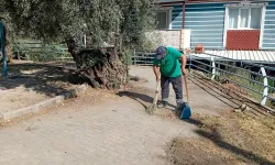Efeler’de yeşil mesai