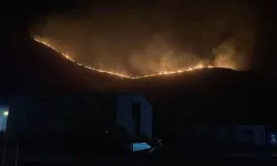 Aydın’da zirai alanda yangın