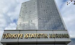TÜİK tarımsal girdilerdeki artışı açıkladı
