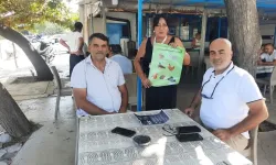 Kuşadası'nda kuduz alarmı!