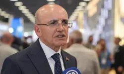 Şimşek asılsız söylentilerin asıl hedefini açıkladı