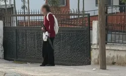 Van'da panik yaratan olay!