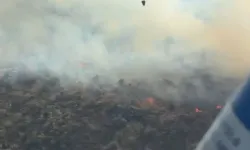 Çine’de orman yangını!