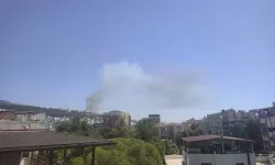 Efeler'de çıkan yangın panik yarattı