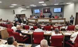 Çerçioğlu ilaçlama kararına veto