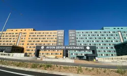 Aydın'da iki doktor yumruk yumruğa