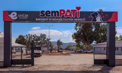 Sempati Bakımevi kapılarını açıyor