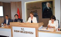 Didim Meclisi'nden Altınkum arazisi kararı