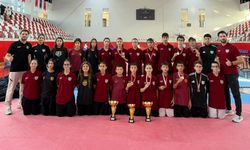 Aydınlı taekwondoculardan 8 madalyalı şampiyonluk