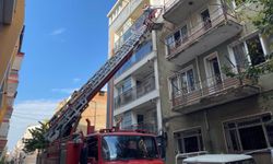 Aydın'da kedi kurtarma operasyonu