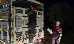 Aydın’da hayvan pazarlarında sıkı denetim