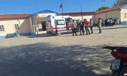 Öğle arası siparişi hastanelik etti