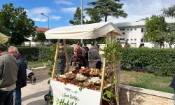 Aydın incirine 'Onarım Enerjisi' dokunuşu