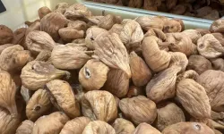 Tariş incir alım fiyatlarını açıkladı