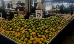 Didim'de mandalina sezonu açıldı
