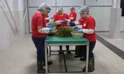 Efeler’in yerel lezzetleri sınırları aştı