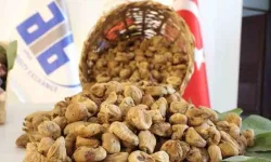 Aydın incirinin geleceği masaya yatırıldı