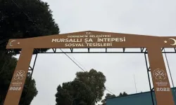 Germencik'te Şahin Tepesi kış uykusuna yattı