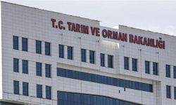 4 ilçenin kaşar peynirinde uygunsuzluk tespit edildi!