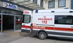 Ölüm nedeni arı sokması sanıldı, gerçek başka çıktı