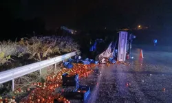 Karacasu’da kamyonet devrildi