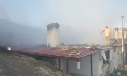Kül olan yuvanın bilançosu yürek burktu