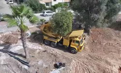 Didim’de Kaykay Parkı çalışmaları sürüyor
