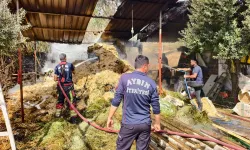Nazilli'deki yangın büyümeden önlendi