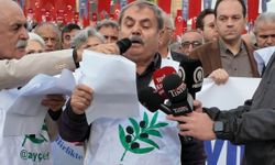 AYÇED Başkanı Vergili'den  JES tepkisi