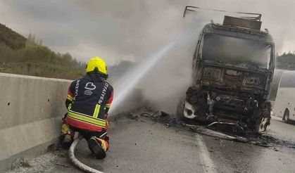 Seyir Halindeki TIR Kül Oldu