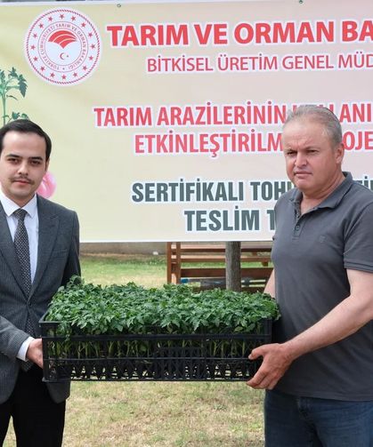 38 Bin domates fidesi dağıtıldı
