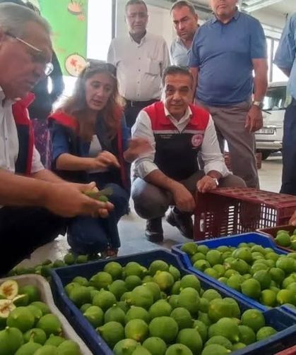 İlekler, tezgahta incelendi