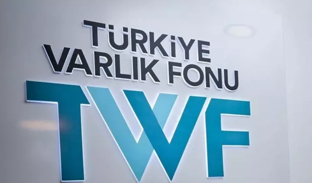 Türkiye Varlık Fonu dünyada zirveye çıktı