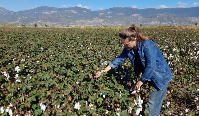 Söke’de 2025 yılı destekleme ürün çalışmaları yapıldı