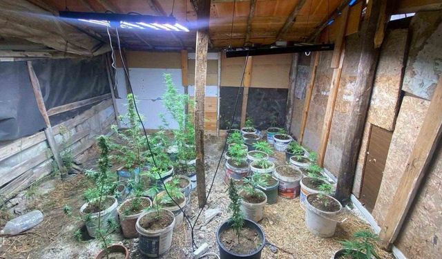 Zehir tacirlerinin kurduğu sistem jandarmaya takıldı