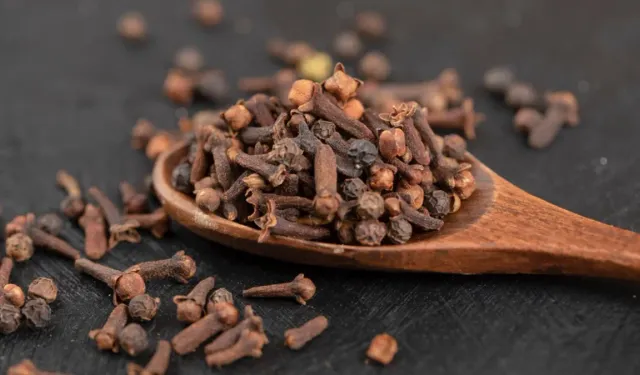 Karanfille Sinek ve Böceklerden Korunun