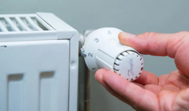 Petekleri açmadan önce 6 detayı kontrol edin