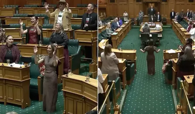 Meclisi Karıştıran Dans!