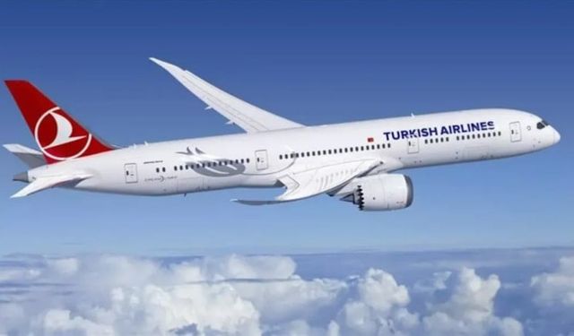 THY dahil birçok şirket uçuşları durdurdu