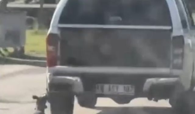 Araçla metrelerce sürüklenen köpek telef oldu