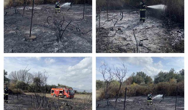 Üzüm bağları alevlere teslim oldu